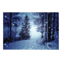 Blauwe Moonlit Magische Bos Winter Scène