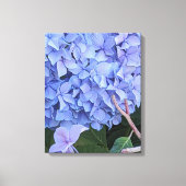 Blauwe Mophead Hortensia Bloei Bloem Canvas Afdruk (Voorkant)
