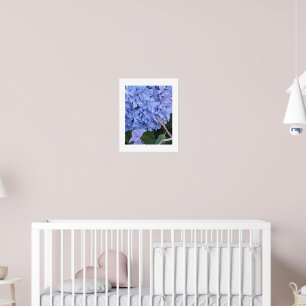 Blauwe Mophead Hortensia Bloem Bloemen Poster