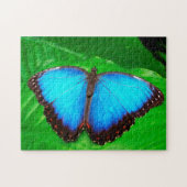 Blauwe Morfofalter Butterfly. Legpuzzel (Horizontaal)