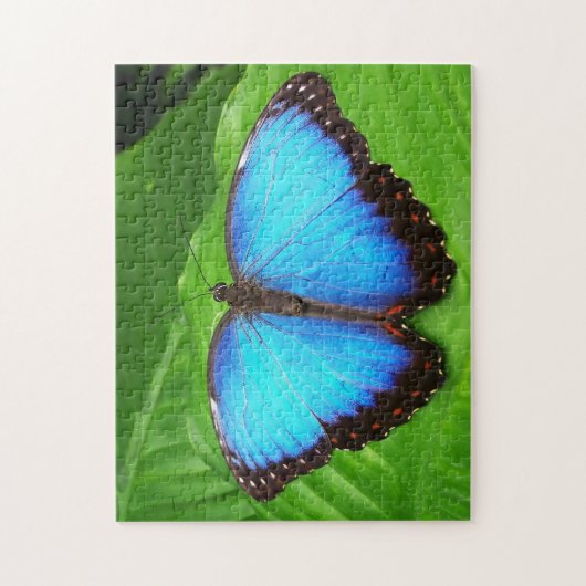 Blauwe Morfofalter Butterfly. Legpuzzel (Verticaal)