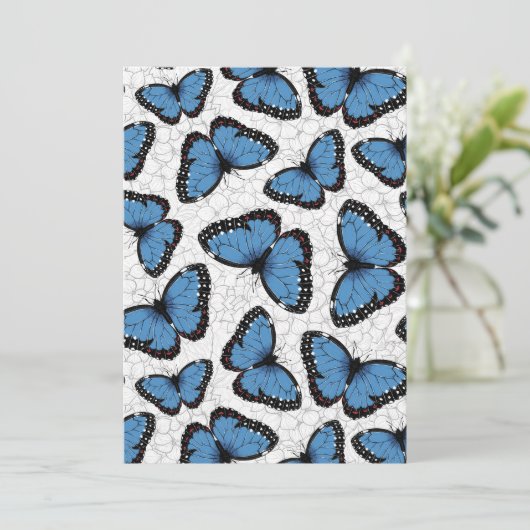 Blauwe morfovlinder (Staand voorkant)