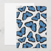 Blauwe morfovlinder (Voorkant / Achterkant)