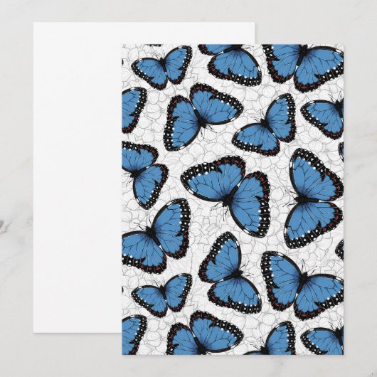 Blauwe morfovlinder (Voorkant / Achterkant)