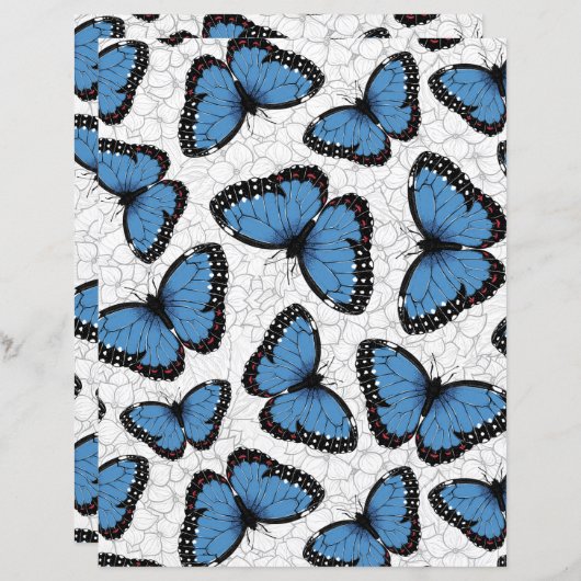 Blauwe morfovlinder (Voorkant / Achterkant)