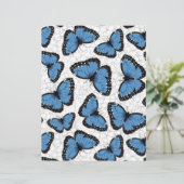 Blauwe morfovlinder (Staand voorkant)