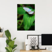 Blauwe Morpho 112 Print (Thuiskantoor)
