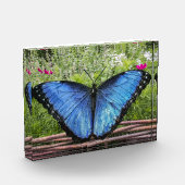 Blauwe Morpho Butterfly Rustiek Ontwerp Fotoblokken (Links)