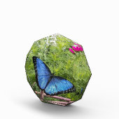 Blauwe Morpho Butterfly Rustiek Ontwerp Fotoblokken (Rechts)