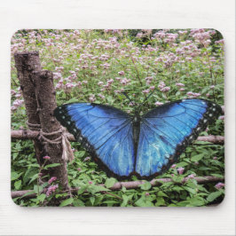Blauwe Morpho Butterfly Rustiek Ontwerp Muismat