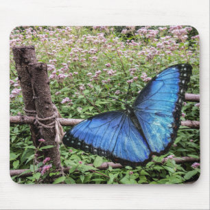 Blauwe Morpho Butterfly Rustiek Ontwerp Muismat