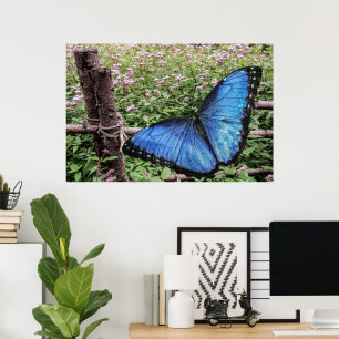 Blauwe Morpho Butterfly Rustiek Ontwerp Poster