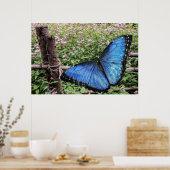 Blauwe Morpho Butterfly Rustiek Ontwerp Poster (Keuken)