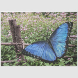 Blauwe Morpho Butterfly Rustiek Ontwerp Tissuepapier