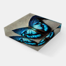 Blauwe Morpho-vlinder