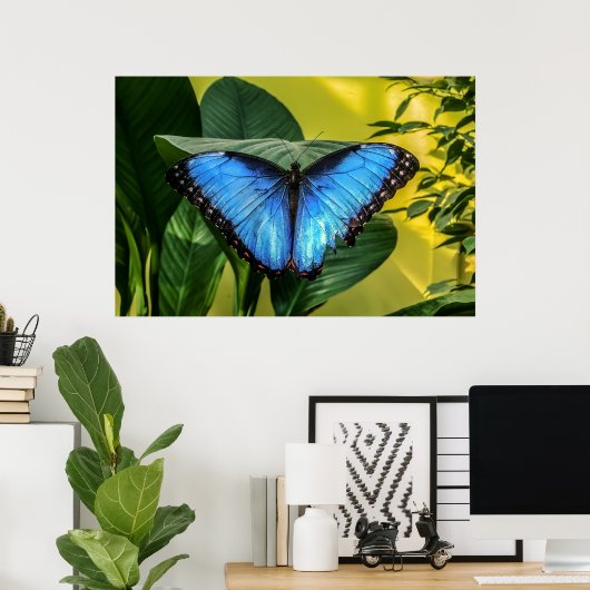 Blauwe Morpho Vlinder Bloemrijke Natuur Kunst Poster (Thuiskantoor)