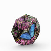 Blauwe Morpho Vlinder Insect Bloemenfoto Fotoblokken (Links)