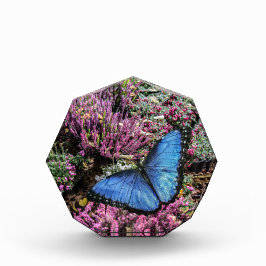 Blauwe Morpho Vlinder Insect Bloemenfoto Fotoblokken