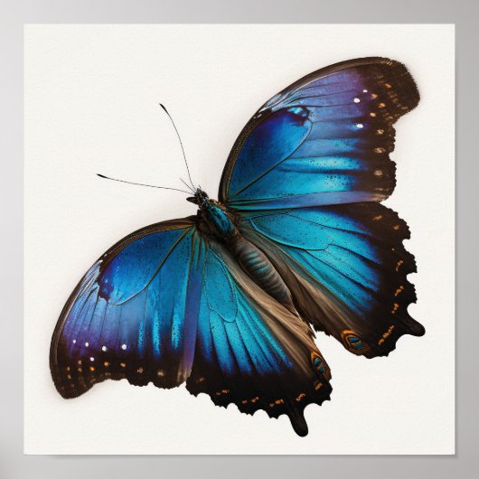 Blauwe Morpho Vlinder Kunstprint Poster (Voorkant)