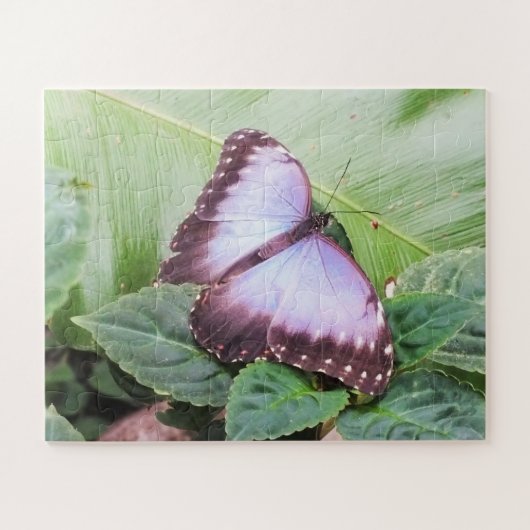 Blauwe morpho vlinder legpuzzel (Horizontaal)