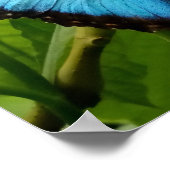 Blauwe Morpho-vlinder natuur poster fotografie (Hoek)