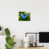 Blauwe Morpho-vlinder natuur poster fotografie (Thuiskantoor)