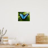 Blauwe Morpho-vlinder natuur poster fotografie (Keuken)