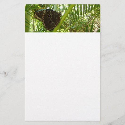 Blauwe Morpho Vlinder Natuurfotografie Briefpapier (Voorkant)