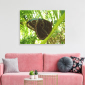 Blauwe Morpho Vlinder Natuurfotografie Canvas Afdruk (Insitu (Woonkamer))