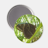 Blauwe Morpho Vlinder Natuurfotografie Magneet (Voorkant / Achterkant)