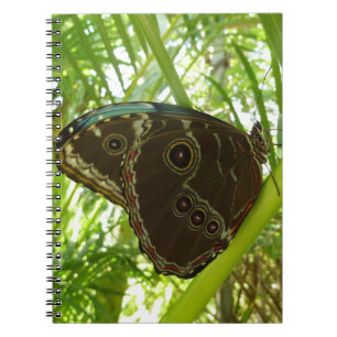 Blauwe Morpho Vlinder Natuurfotografie Notitieboek