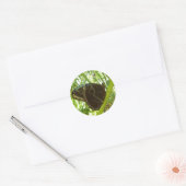 Blauwe Morpho Vlinder Natuurfotografie Ronde Sticker (Envelop)