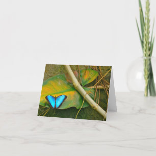 BLAUWE MORPHO VLINDER NOTECARD KAART
