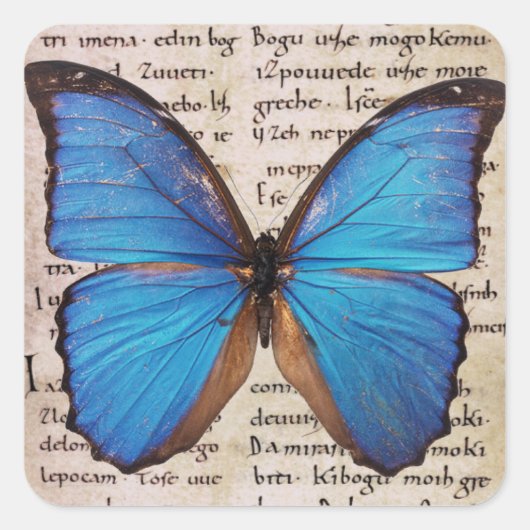 Blauwe Morpho Vlinder op Boekpagina Natuur Sticker (Voorkant)