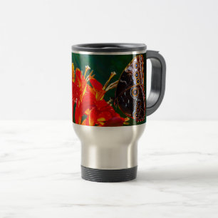 Blauwe morpho vlinder op Crocosmia Lucifer bloemen Reisbeker
