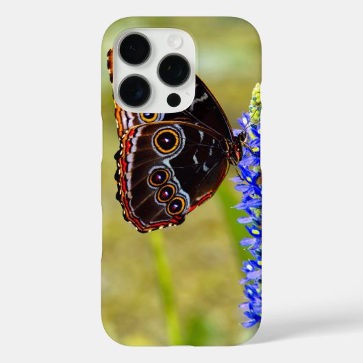Blauwe morpho vlinder op een moeras orchidee Case-Mate iPhone case (Achterkant)