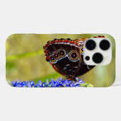 Blauwe morpho vlinder op een moeras orchidee Case-Mate iPhone case (Achterkant (horizontaal))