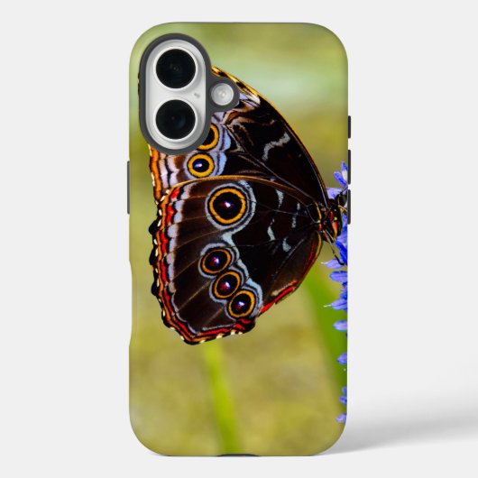 Blauwe morpho vlinder op een moeras orchidee Case-Mate iPhone case (Achterkant)