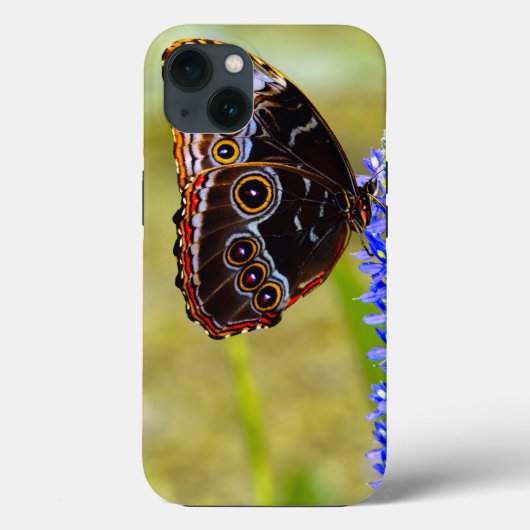 Blauwe morpho vlinder op een moeras orchidee Case-Mate iPhone case (Achterkant)