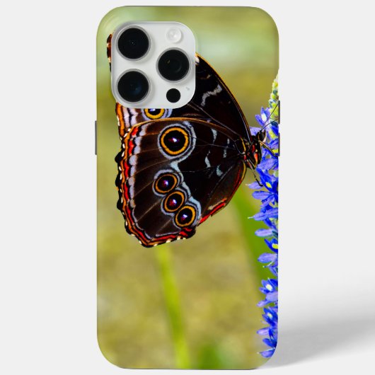 Blauwe morpho vlinder op een moeras orchidee Case-Mate iPhone case (Achterkant)