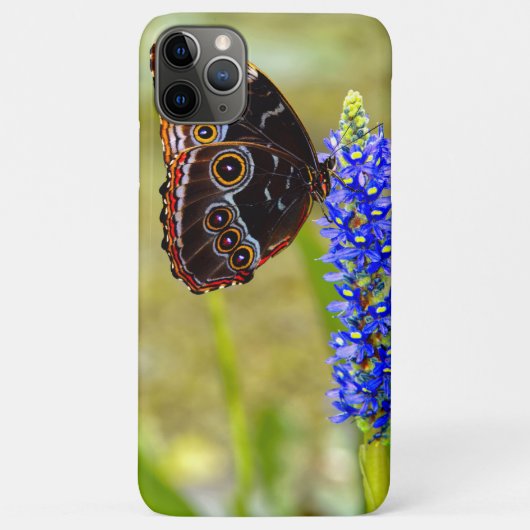 Blauwe morpho vlinder op een moeras orchidee Case-Mate iPhone case (Achterkant)