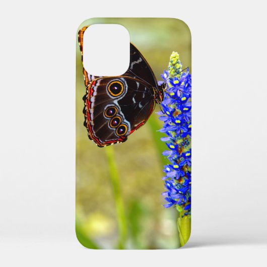 Blauwe morpho vlinder op een moeras orchidee Case-Mate iPhone case (Achterkant)