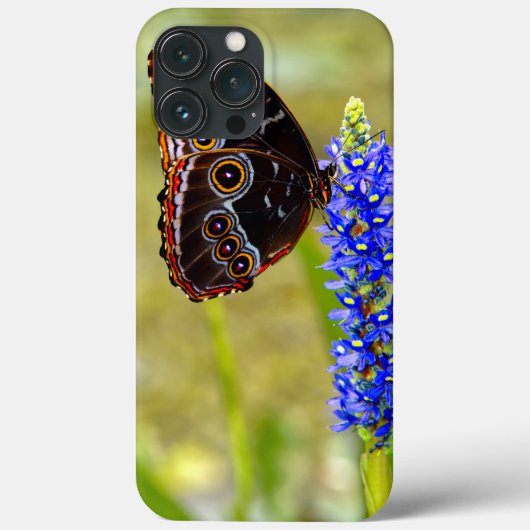 Blauwe morpho vlinder op een moeras orchidee Case-Mate iPhone case (Achterkant)