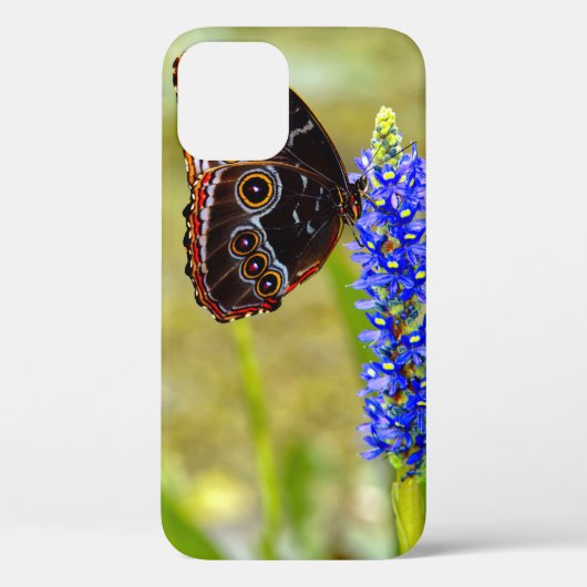 Blauwe morpho vlinder op een moeras orchidee Case-Mate iPhone case (Achterkant)