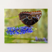 Blauwe morpho vlinder op een moeras orchidee legpuzzel (Horizontaal)