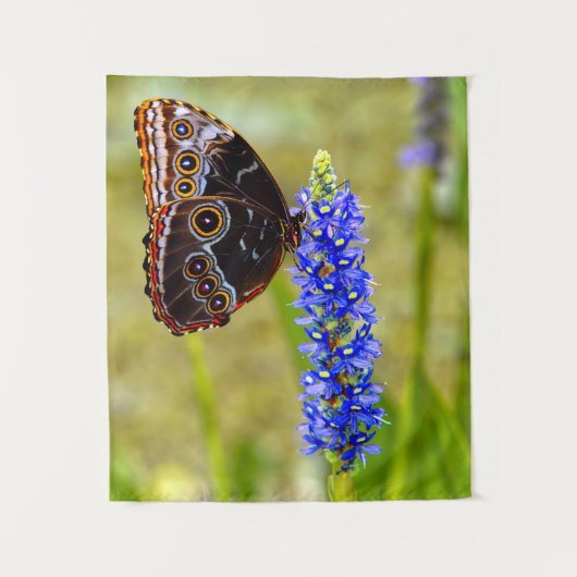 Blauwe morpho vlinder op een moeras orchidee wandkleed (Voorkant)