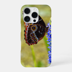 Blauwe morpho vlinder op een moerasorchis iPhone 16 pro hoesje
