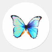 Blauwe Morpho Vlinder Stickers (Voorkant)