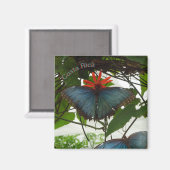 Blauwe Morpho Vlinders Cust. Magneet (Voorkant / Achterkant)