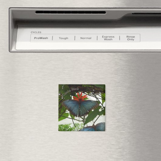 Blauwe Morpho Vlinders Cust. Magneet (Insitu (Vaatwasser))